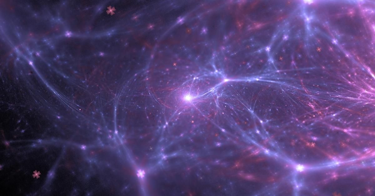 Cos'è il sistema nervoso