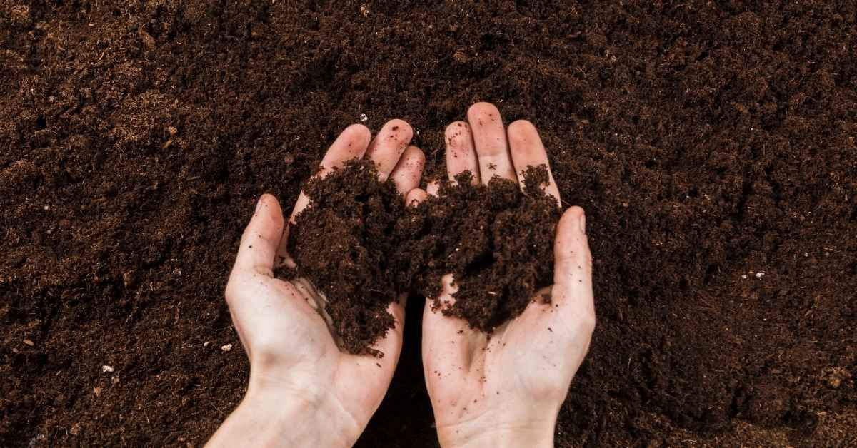 Geofagia: sintomi del picacismo