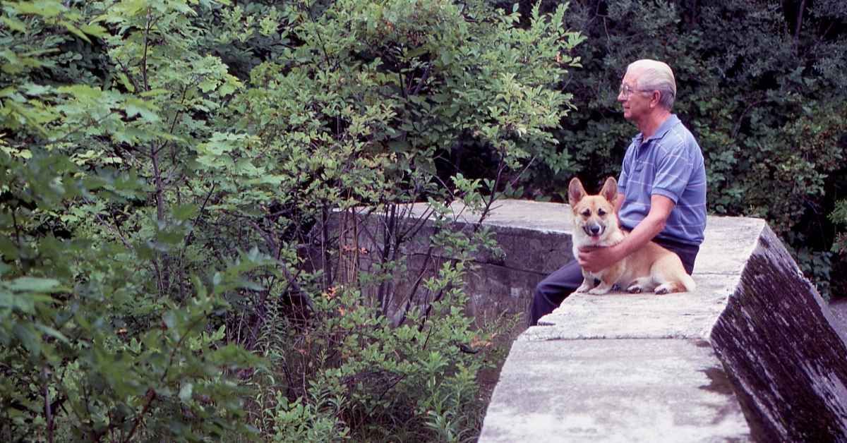 Quali sono i vantaggi della pet therapy