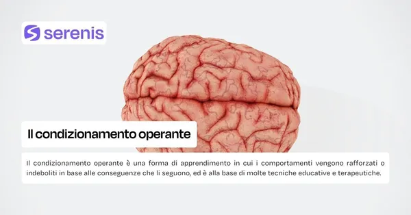 Il condizionamento operante.