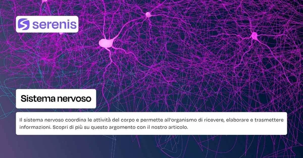 Sistema nervoso