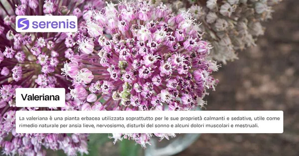 Valeriana e ansia.